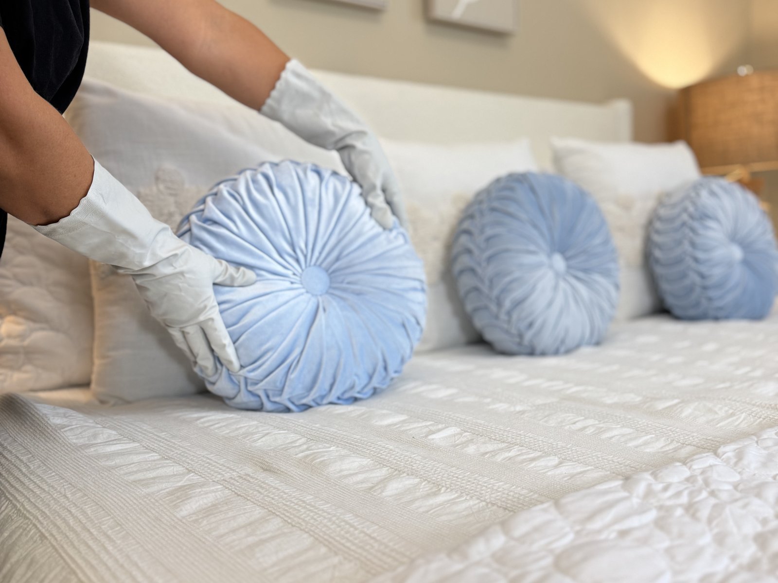 Detailed cleaning results in a Sarasota home